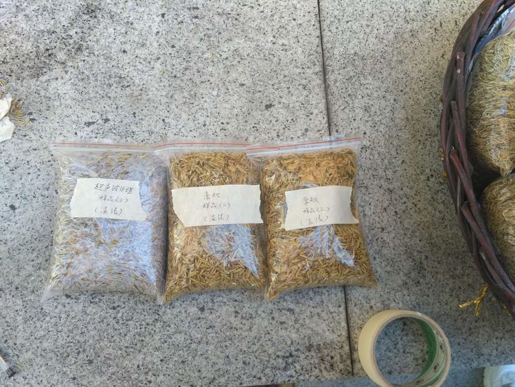 “超聲波處理對(duì)稻谷表面微生物的影響”發(fā)表論文啦!!