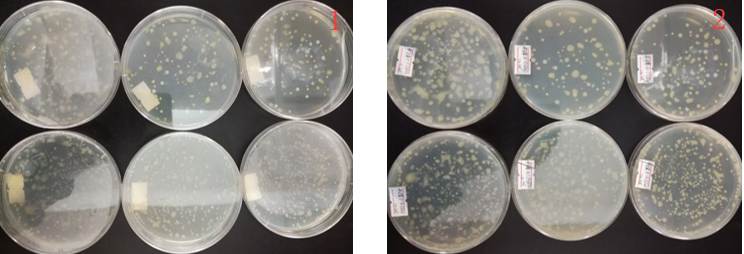 “超聲波處理對稻谷表面微生物的影響”發表論文啦！！