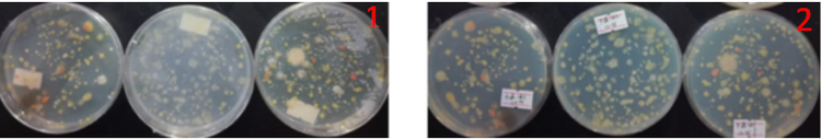“超聲波處理對稻谷表面微生物的影響”發表論文啦！！